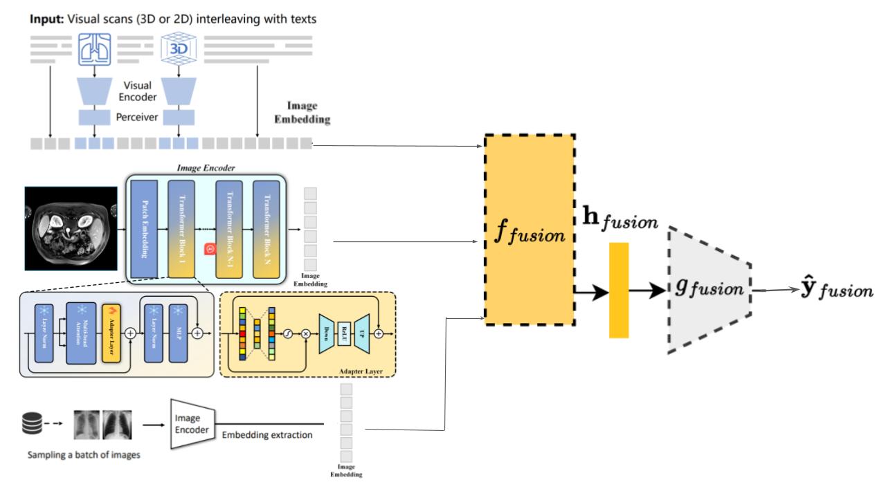 NACT Radiomics Overview