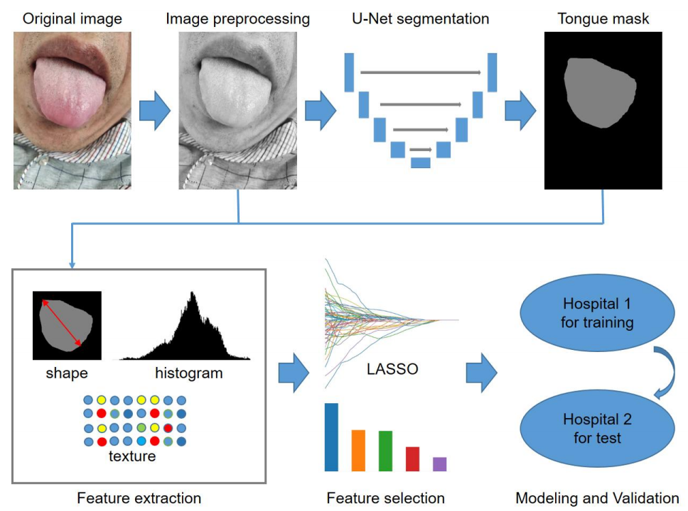 Tongue Radiomics Overview